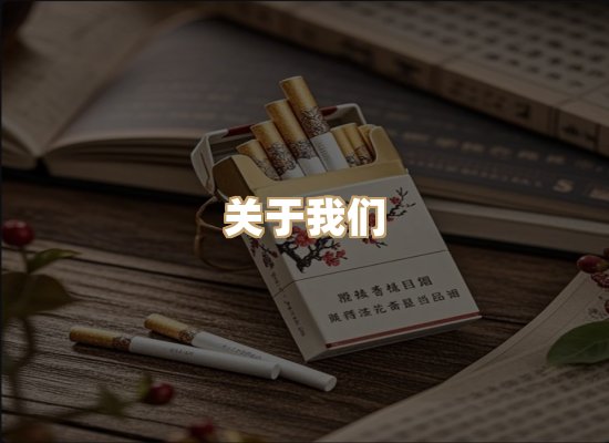 关于御龙烟网